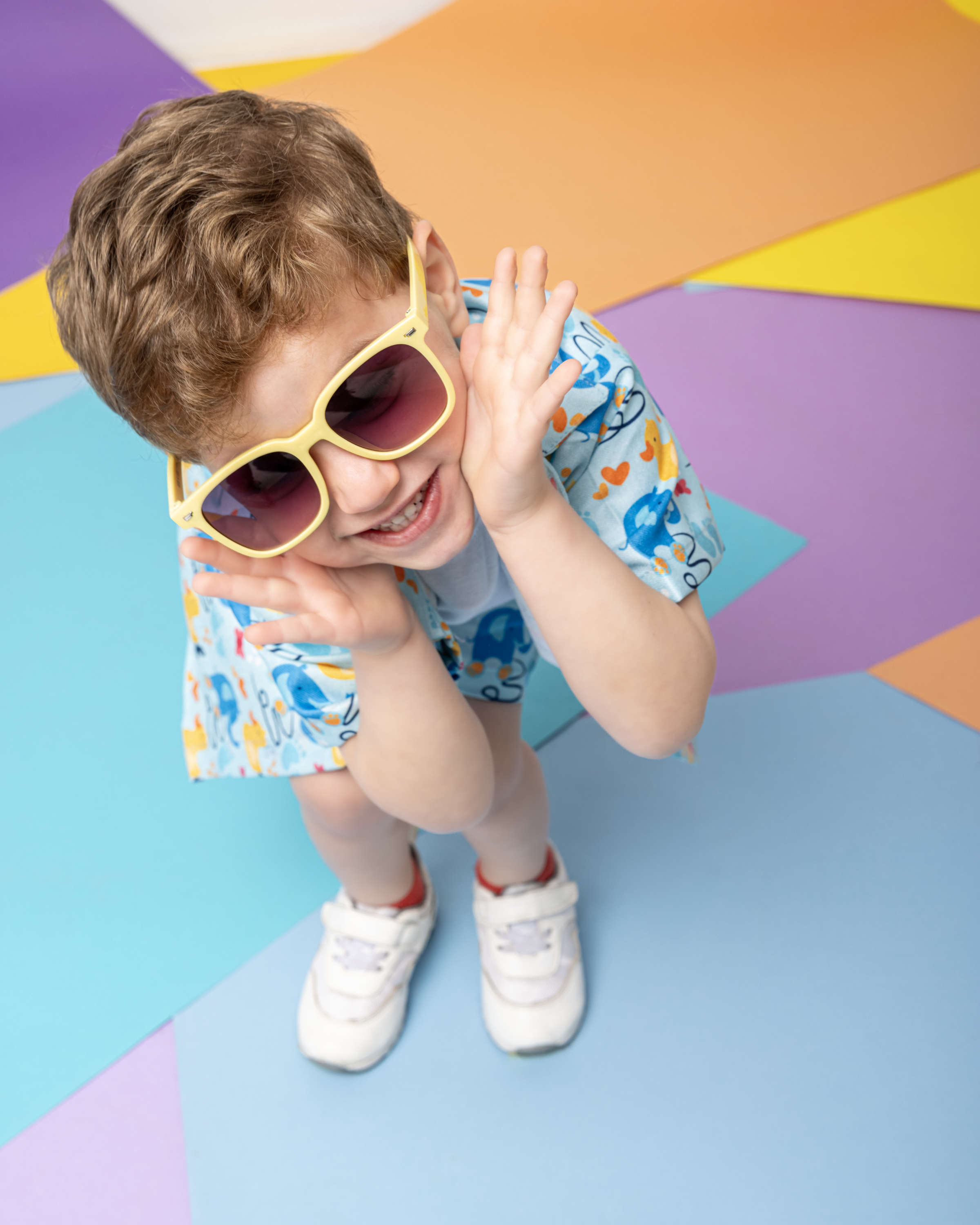 Elephants by the lake Set