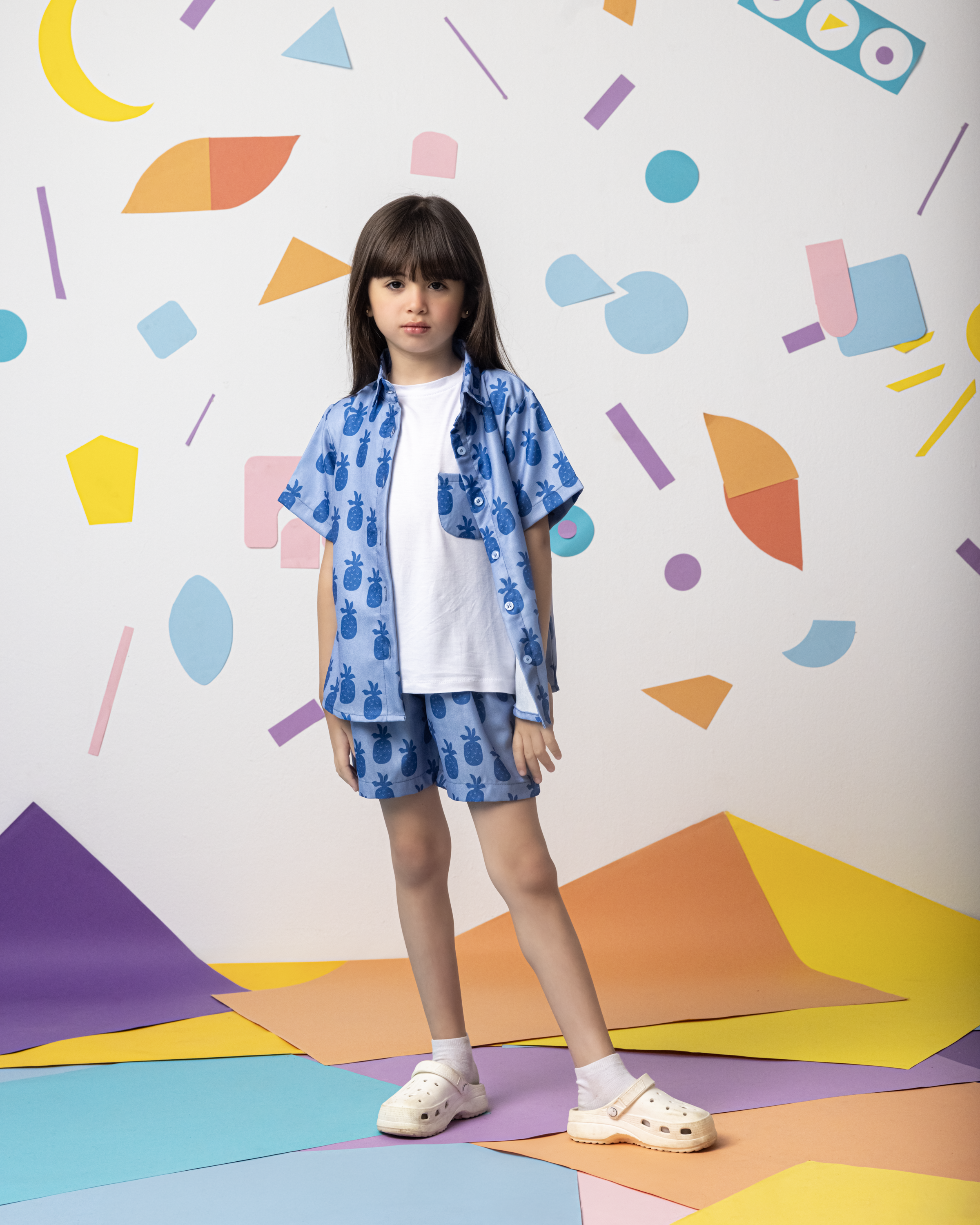 Blue Pineapple Land Set